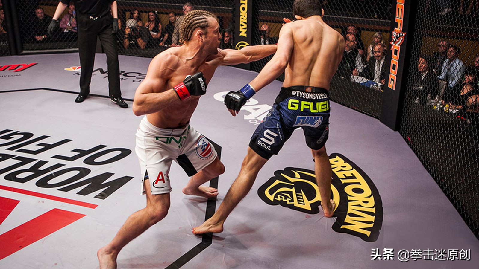 拳击运动的热度,美国拳击格斗最新排名