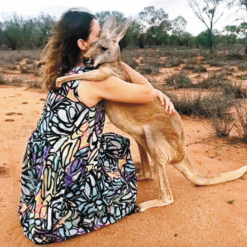 袋鼠真的聪明又温顺？若是这样，为什么澳大利亚还禁止私自饲养？