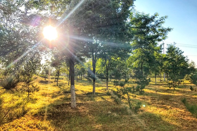 心慌乏力有虚脱感是怎么回事,浑身无力心慌是中暑了吗