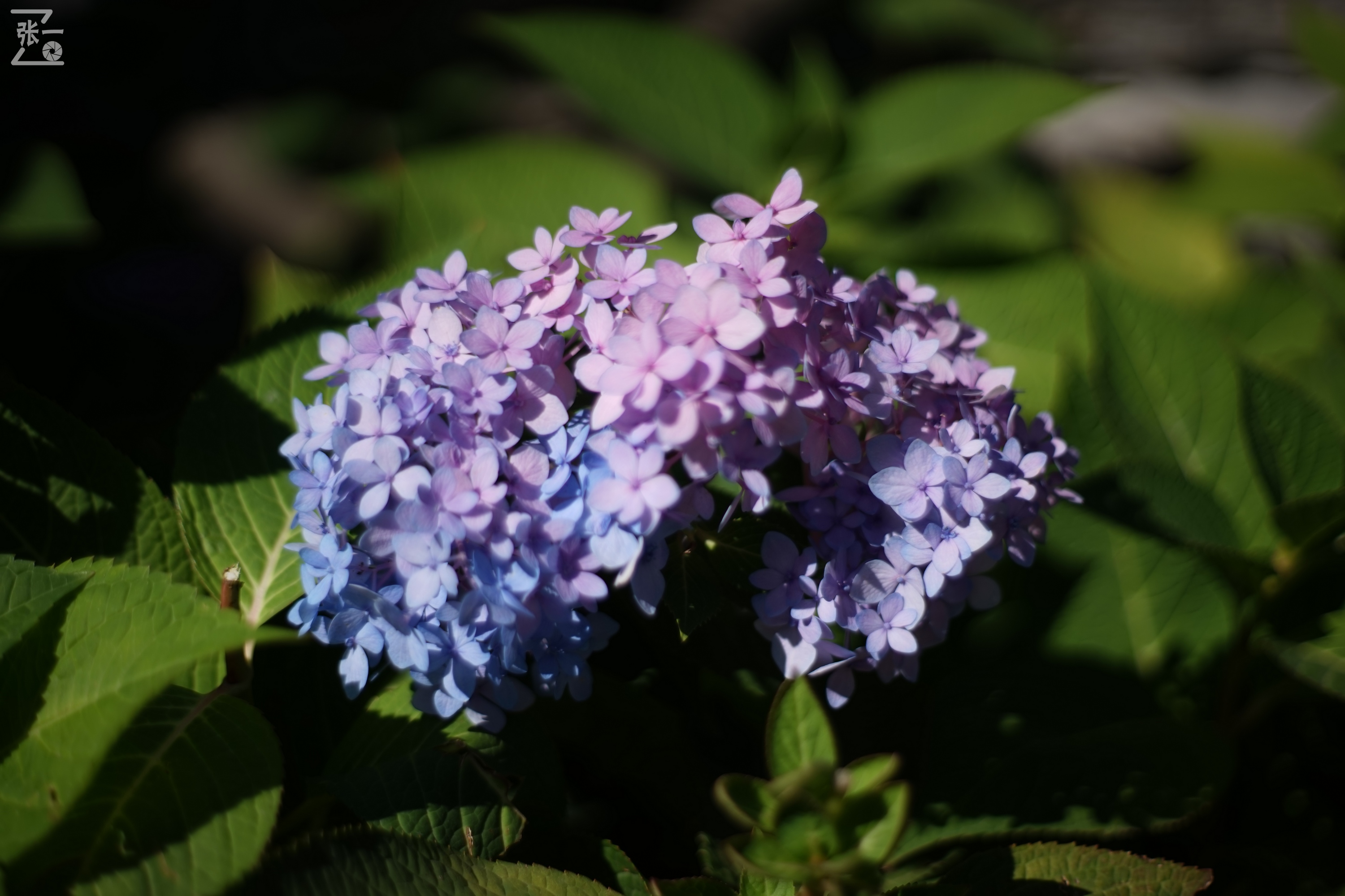 老镜头实拍,老镜头拍北京