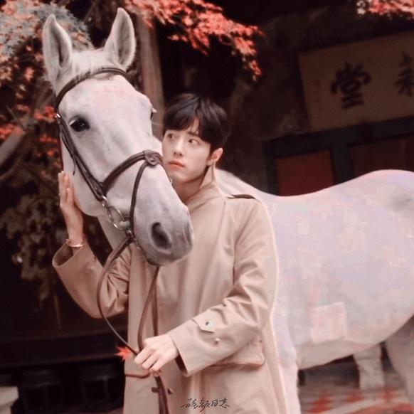 时尚芭莎肖战和谁拍过,时尚芭莎肖战年度盛典照片