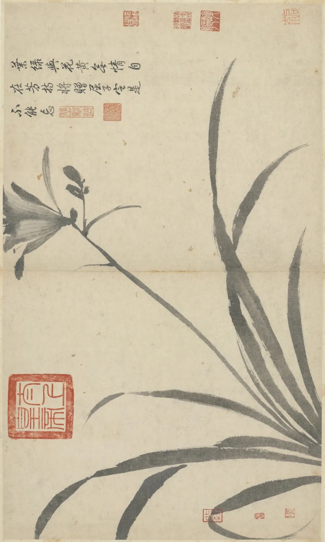 慕容看世界的视频,慕容看世界所有视频