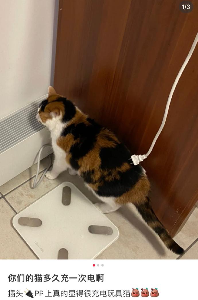 每日一笑最新段子,段子每日一笑