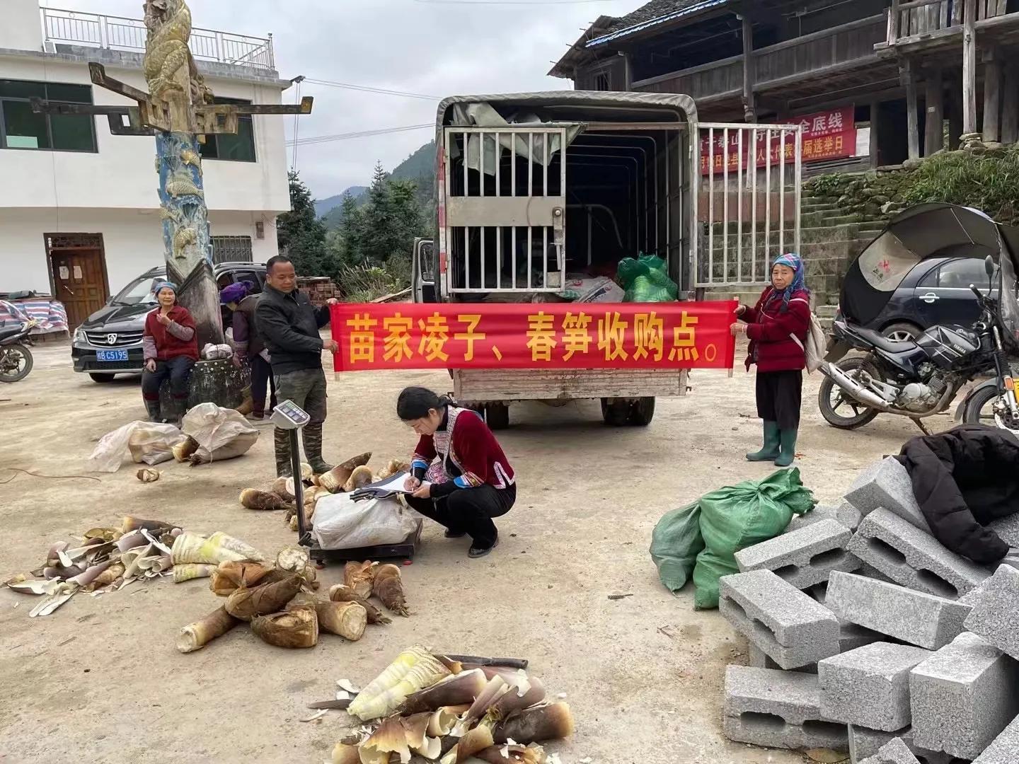 贵州姑娘90后创业,广西90后女生创业