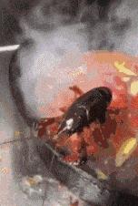 发烧真的会烧坏脑子，笑死我了哈哈哈哈哈哈哈