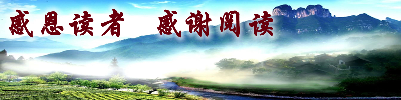 意大利罗伯特巴乔图片,意大利天之骄子罗伯特巴乔