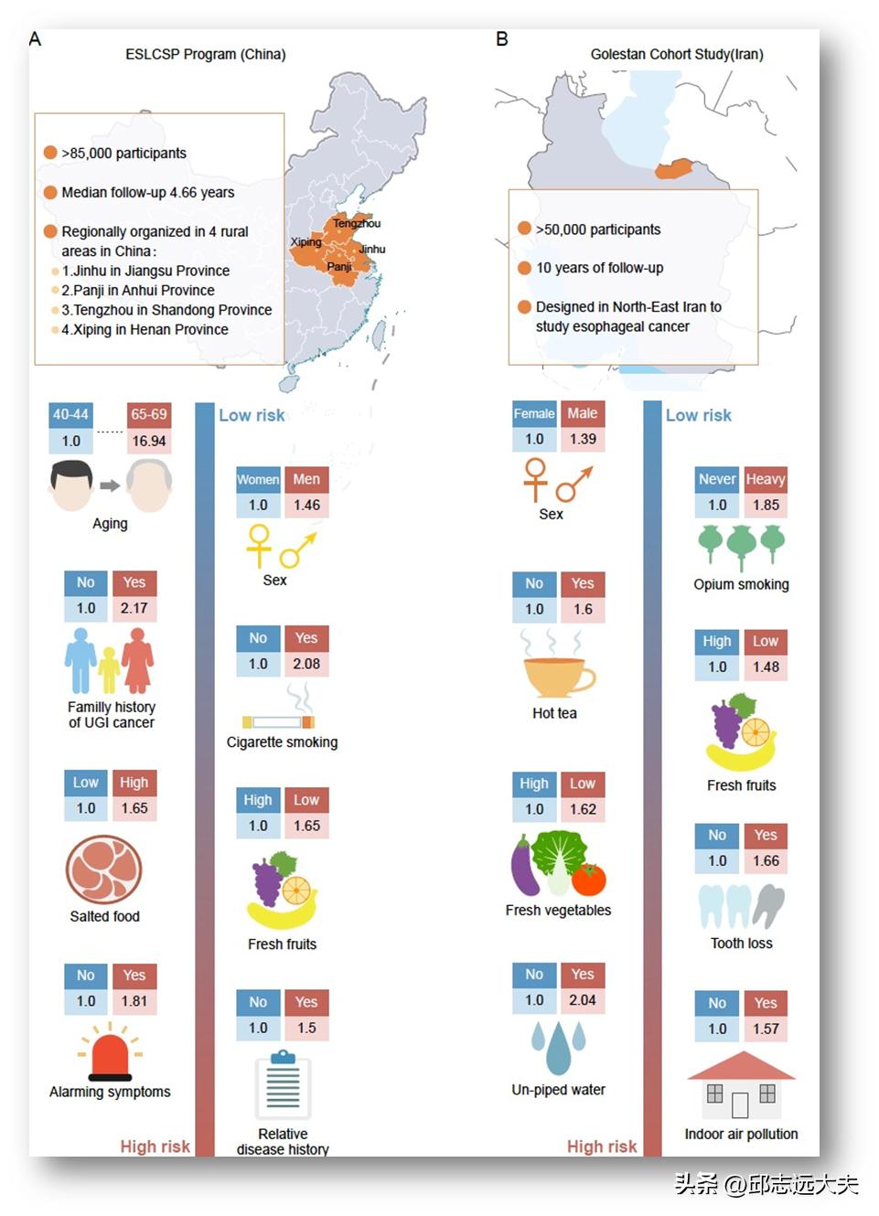 ThoracicCancer|亚洲食管癌流行病学地图