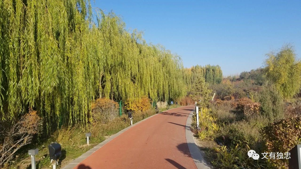 运动跑步记,跑步记视频