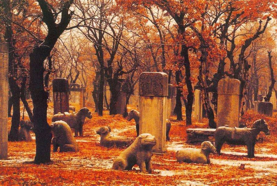 山东孔林存在2400年,周围不见乌鸦蛇鼠,只因林中有这两样东西