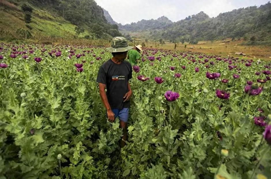 老父亲为了女儿赶出家门,老父亲把儿子赶走