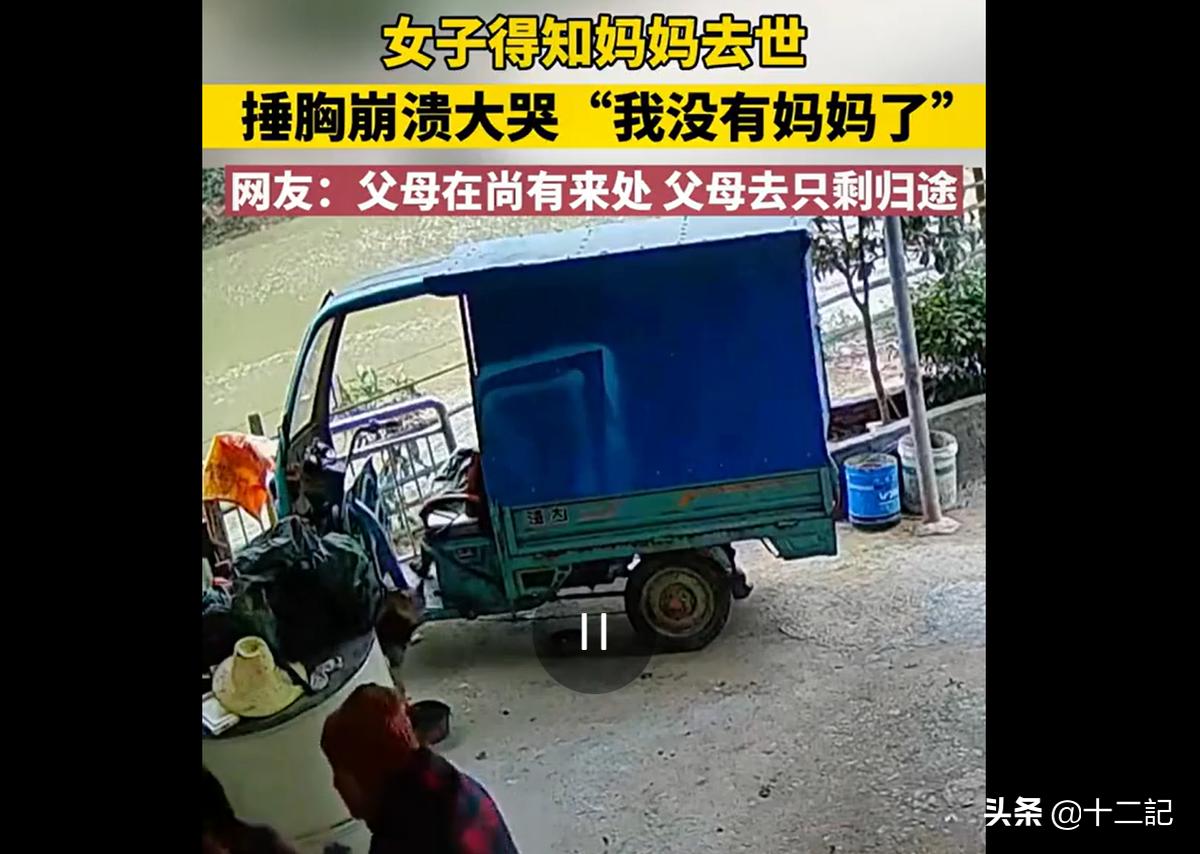 有你陪伴人生不再孤独,因为有你的陪伴所以不会孤单