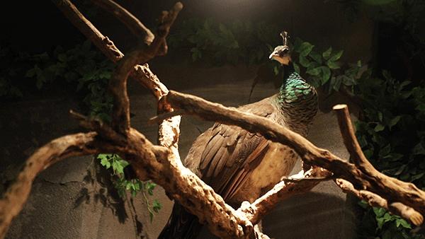 成都市暑假亲子游玩地点推荐,暑假成都亲子游推荐景点