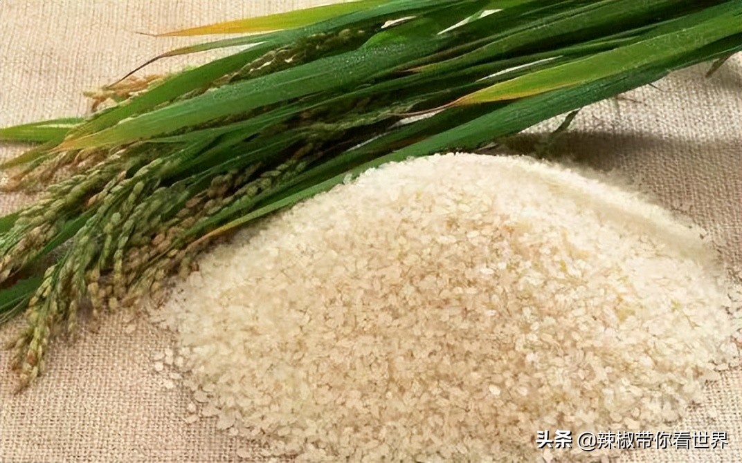 美在黑龙江：走进诗意山水之齐齐哈尔这里是世界大湿地中国鹤家乡