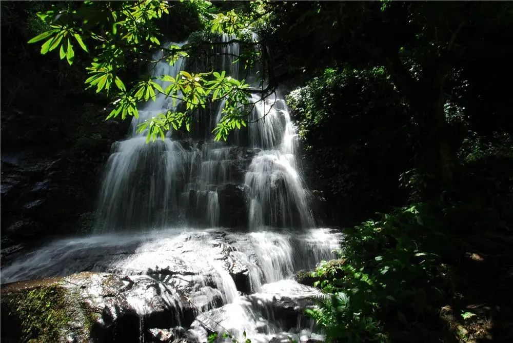 昆明七彩云南怎么样,七彩云南避暑家园