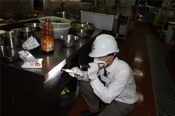 宿舍除蟑螂推荐,宿舍除蟑螂包