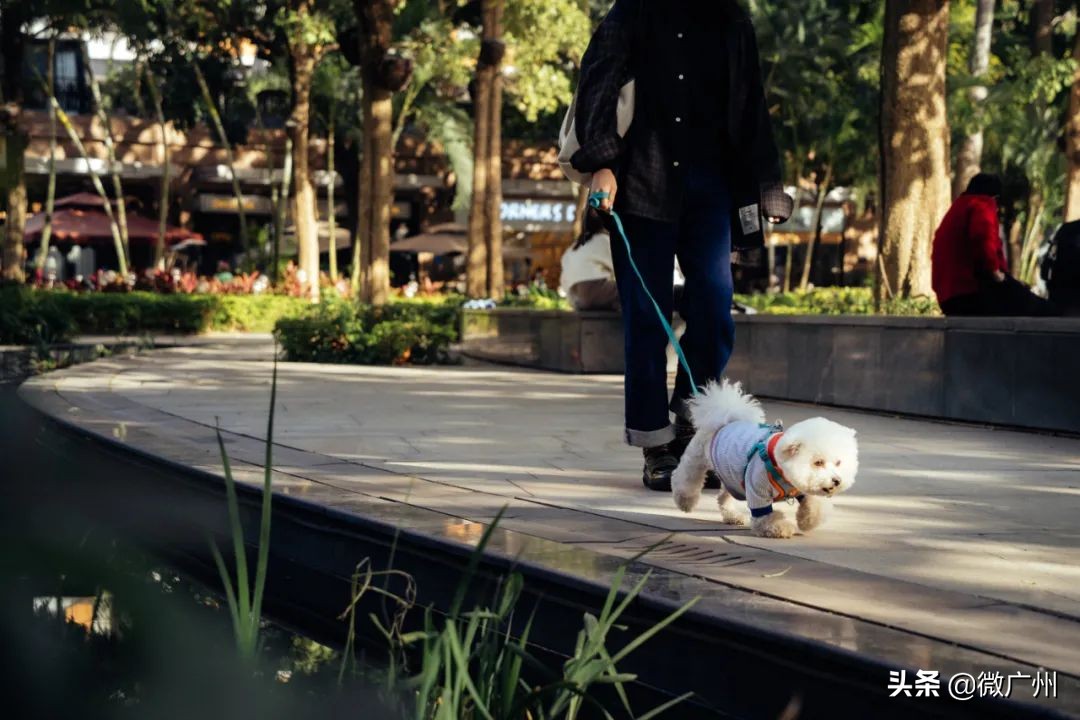 广州市宠物友好,广州宠物友好景区