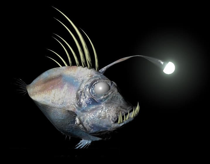 海底20000米大型未知生物,海底一万米真有巨型生物吗