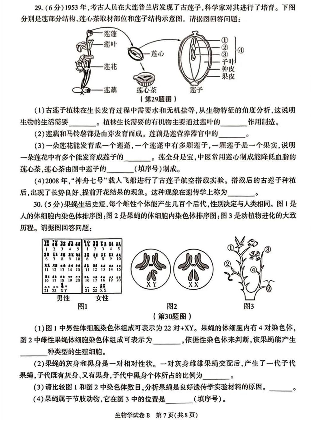 陕西2023年中考试卷及答案,2019陕西省中考试卷及答案解析