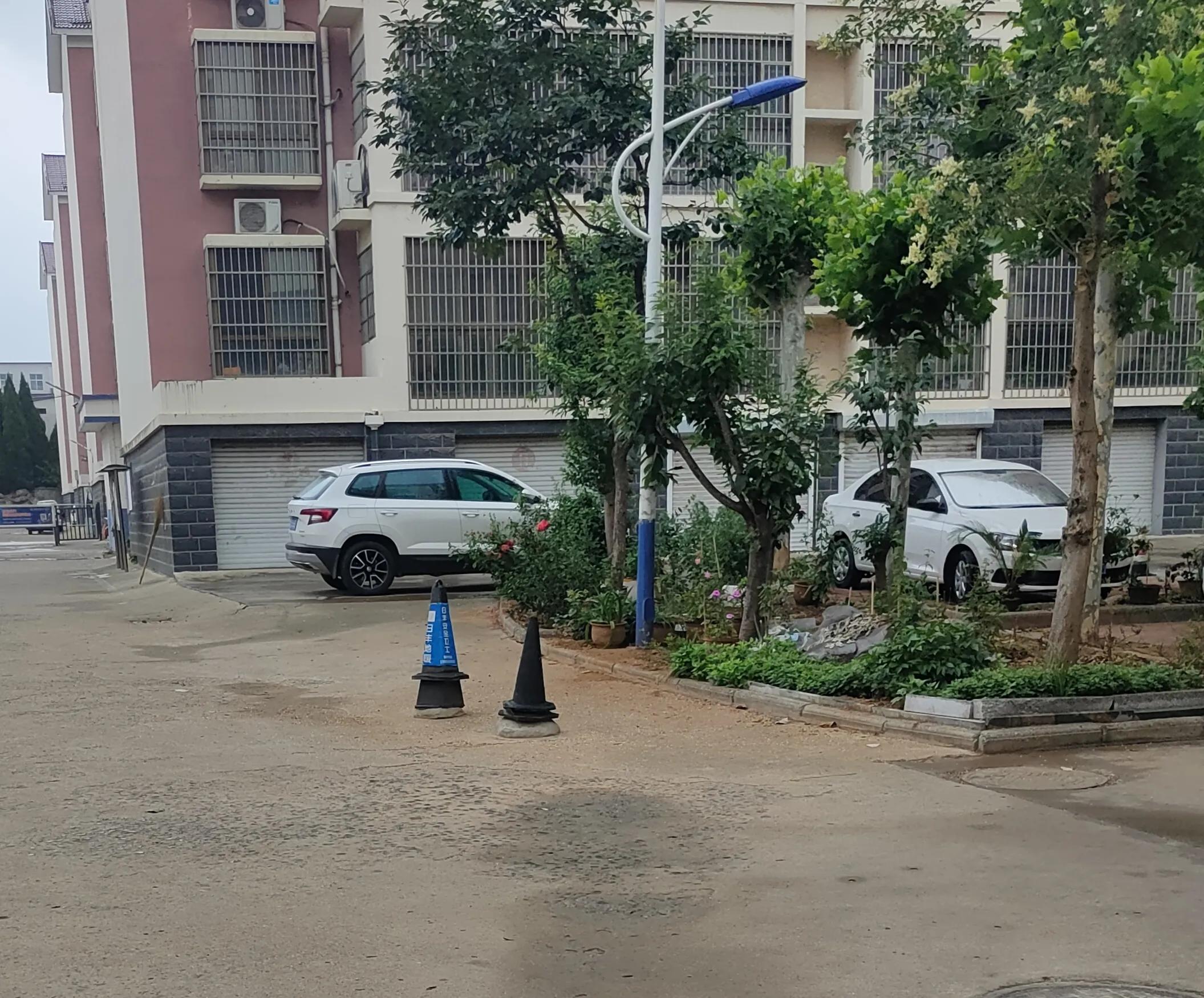 这个小区发生“蝴蝶效应”