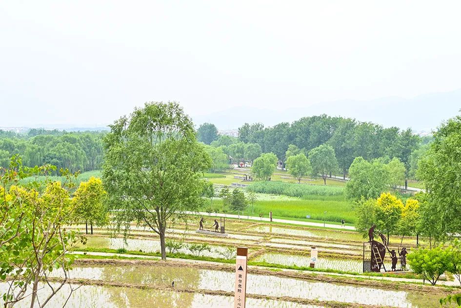 北京免费景美公园大全,北京这个公园也很美