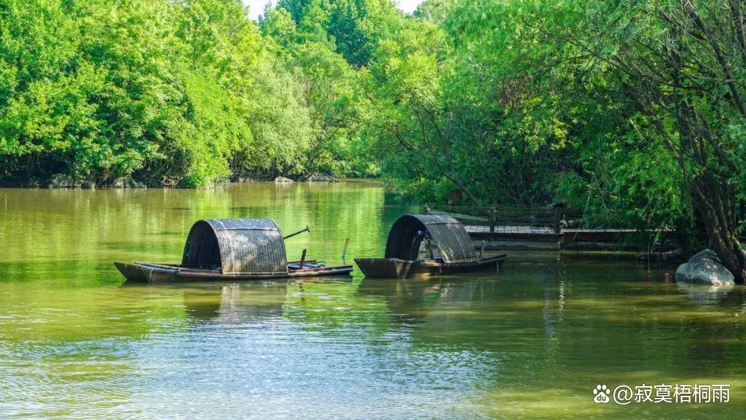 最美夏至诗让你清凉一夏,十首夏至诗词送你清凉一夏