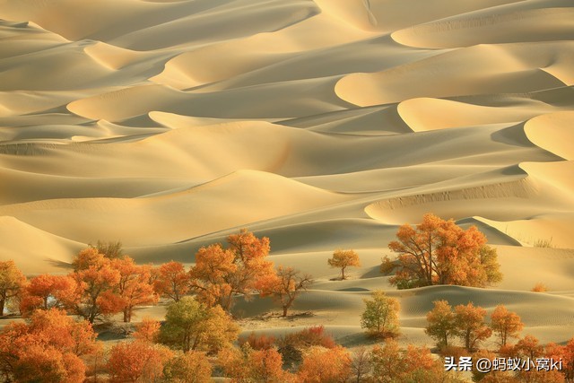 世界五大沙漠,内蒙古九大草原五大沙漠