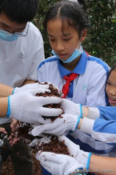 CAS儿童空间|生命花园:在校园屋顶打造感知自然的实验场