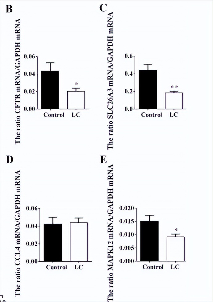 浣庨挋楗叉枡,浣庨挋鏃ョ伯