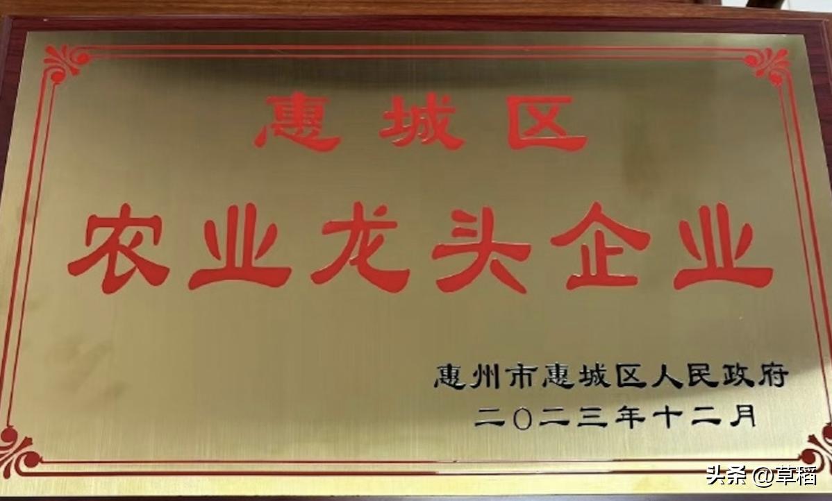 何家劲展昭最帅一次,何家劲展昭最帅片段高清