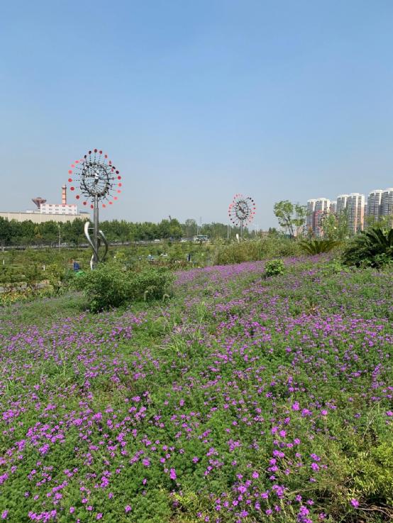 提升活力的景观设计,智慧体验景观设计