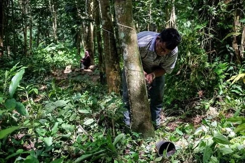 越南新娘骗局大揭秘,如何避免越南新娘骗局
