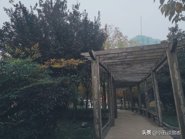 周文强老师品《我不是药神》是救人救社会的伟大电影