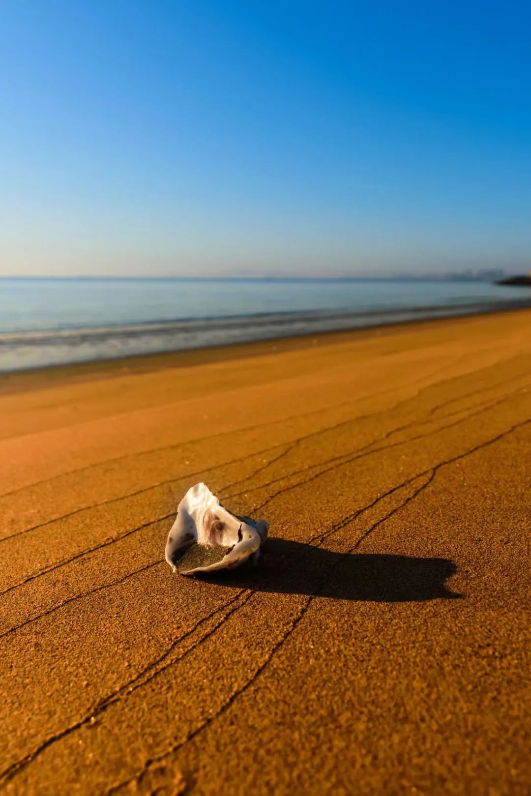 这50张照片就是努力的理由,一张图说明你去过防城港