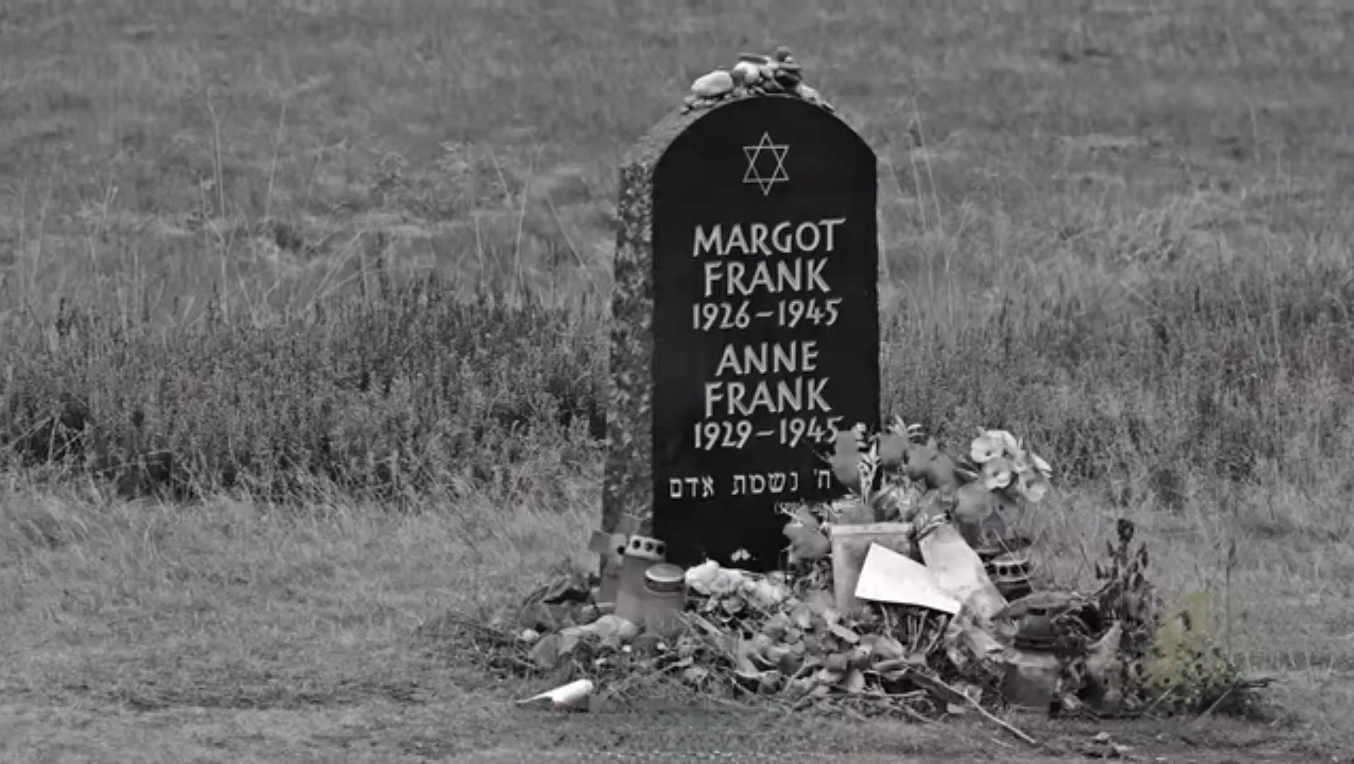 伟大的安妮视频,安妮的秘密日记