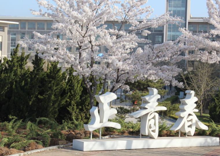 四大工学院谁最牛逼,四大工学院当年谁最强