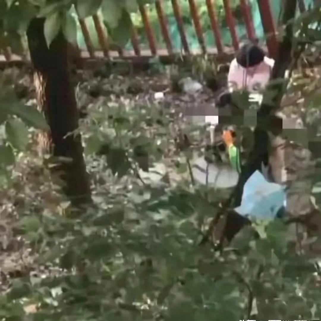 杈藉畞鐞嗗伐瀛﹂櫌浜嬩欢,杈藉畞鐞嗗伐瀛﹂櫌鏍″洯闇稿噷