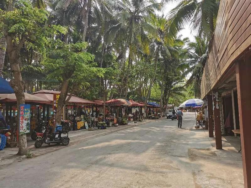 文昌椰林在哪里,文昌椰林靠海吗