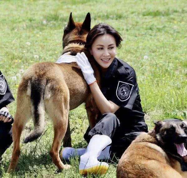 怎样判断狗狗是中型犬还是小型犬,如何判断狗狗的犬型