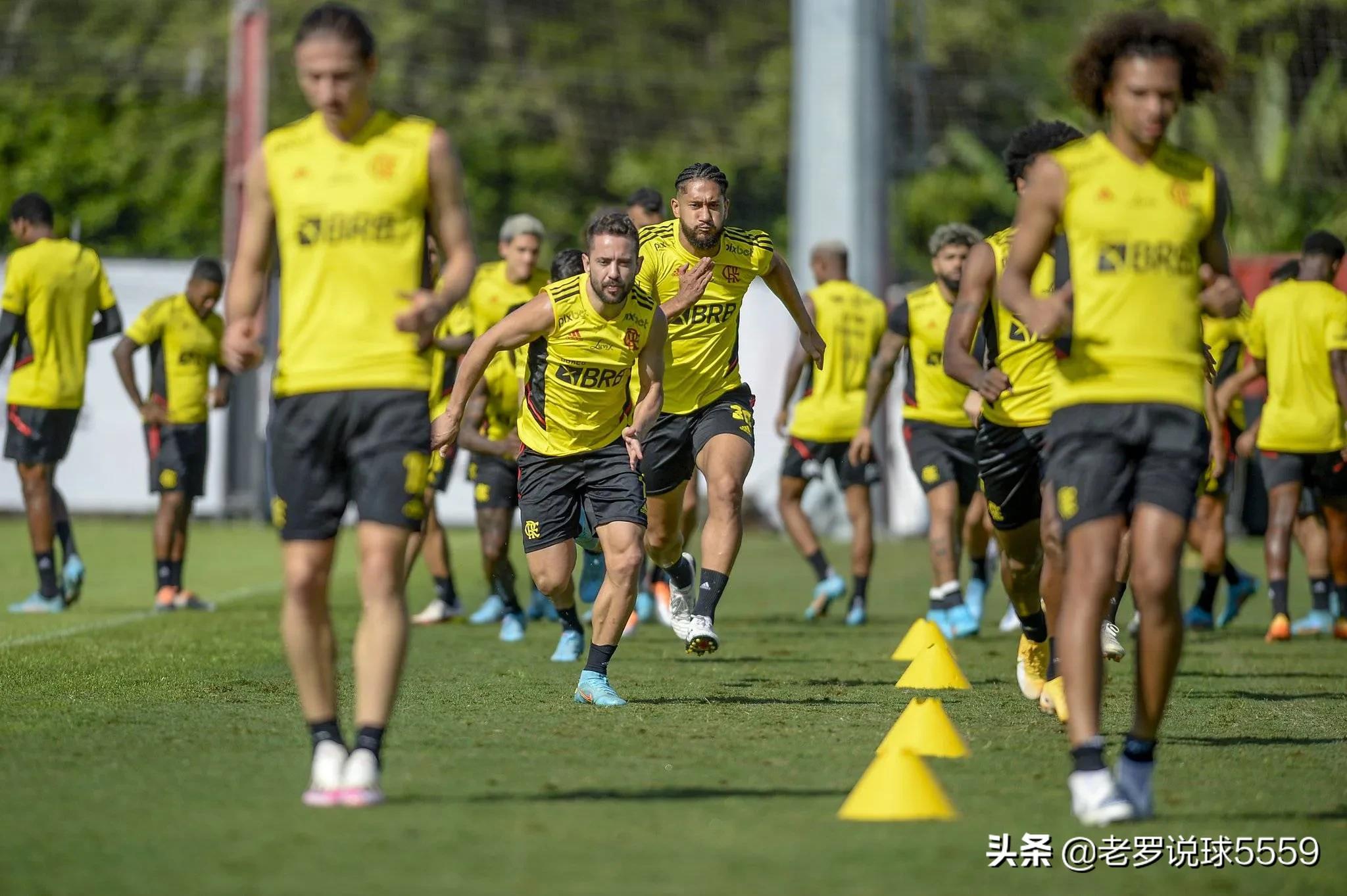 足球推荐弗拉门戈vs托利马,弗拉门戈vs博塔弗戈足球比赛结果