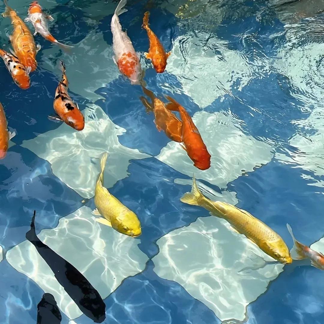 朋友圈背景图高级感,朋友圈背景图ins风格