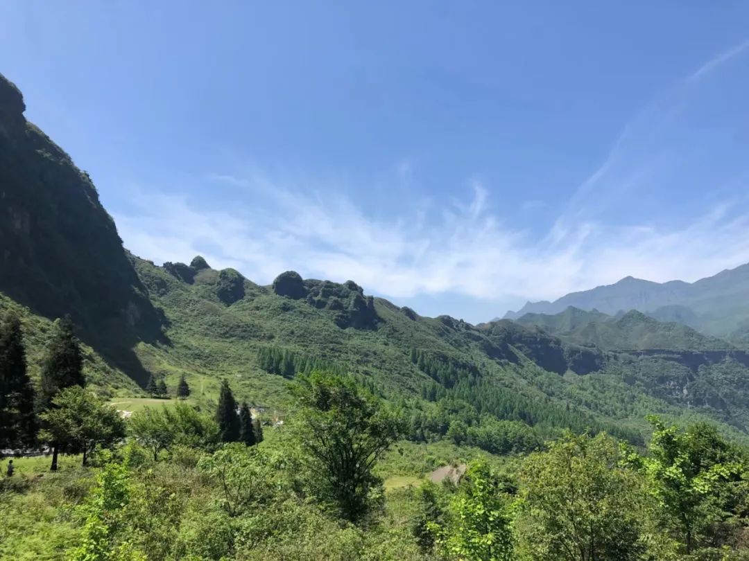 南川区金佛山旅游攻略,南川金佛山一日自驾游攻略