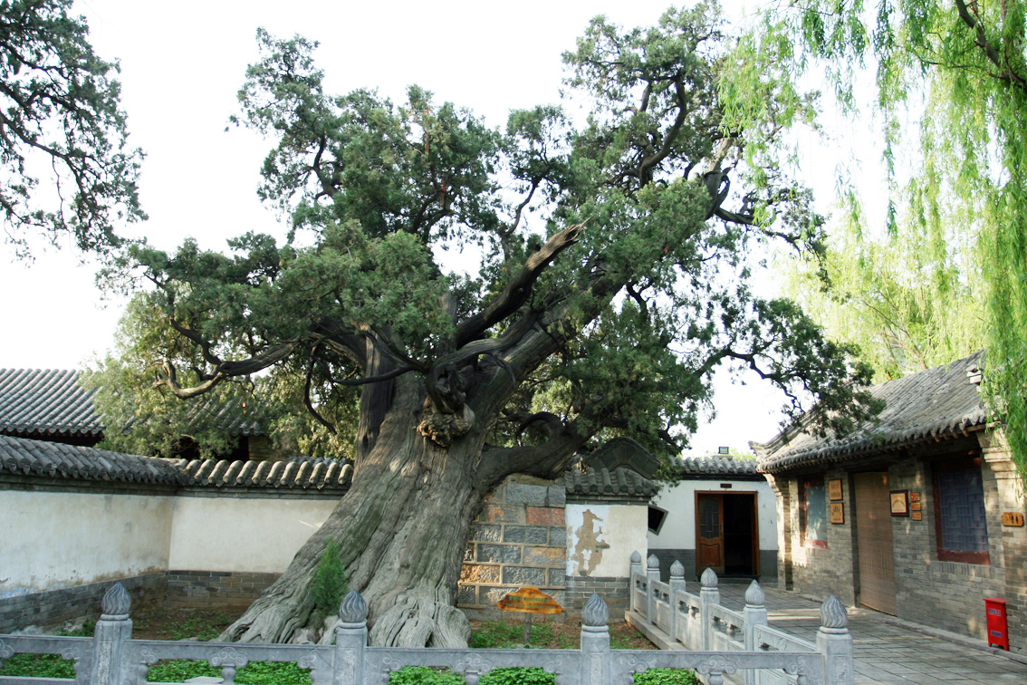 郑州登封天地之中历史建筑简介,登封的历史建筑有哪些