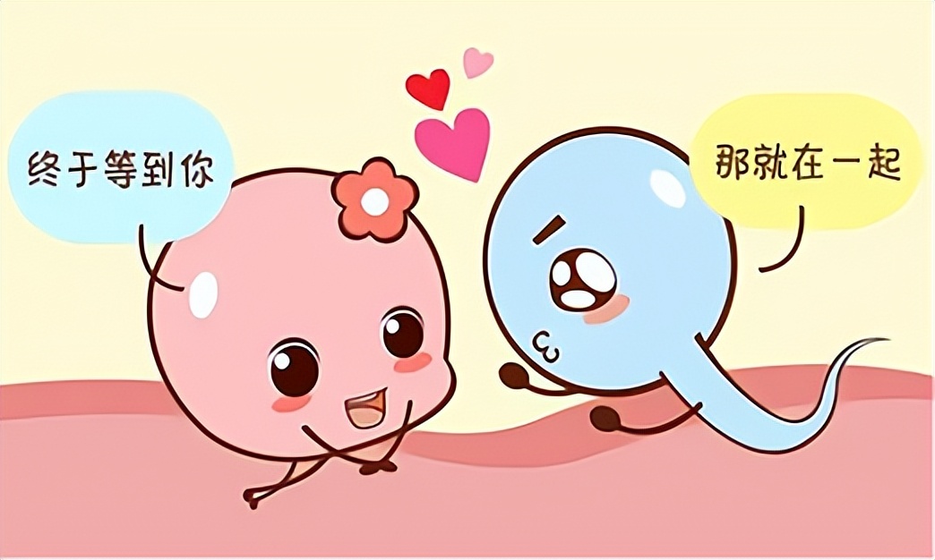 精子最多能保存多久,精子最长存活5天