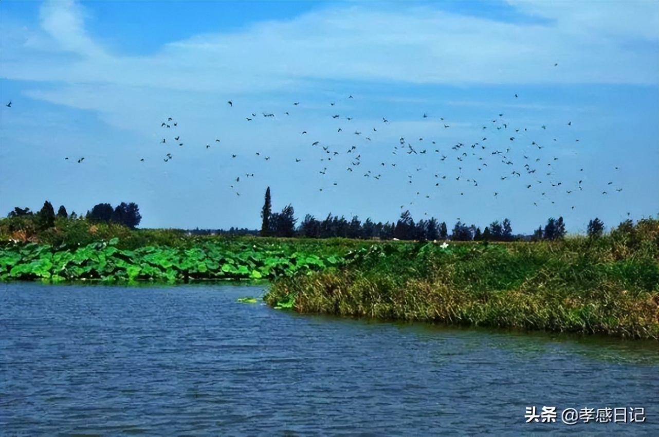 总投资约36亿！邓家河中央生态公园