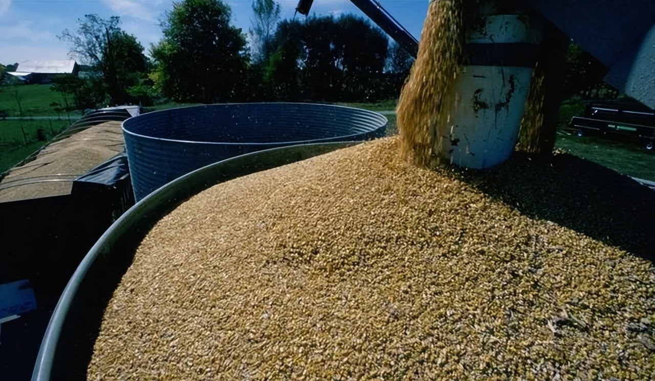 朝鲜人对中国人看法街头采访,朝鲜人对待中国旅游态度