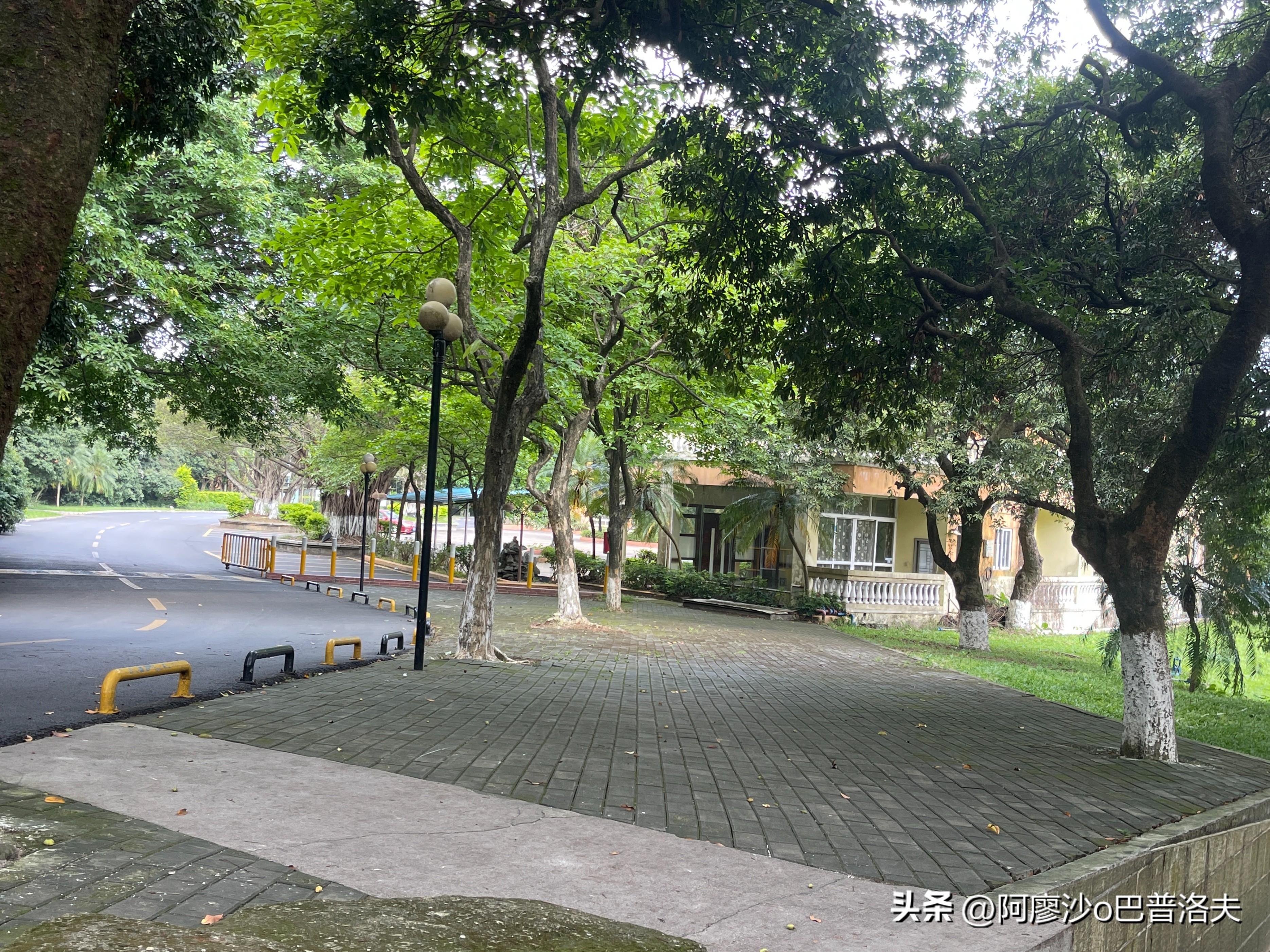 苹果12pm拍摄视频比12更好吗,佳能550d和iphone14拍摄对比