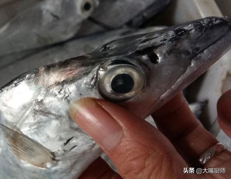 教你三个技巧挑选优质带鱼,带鱼好不好吃怎样挑选