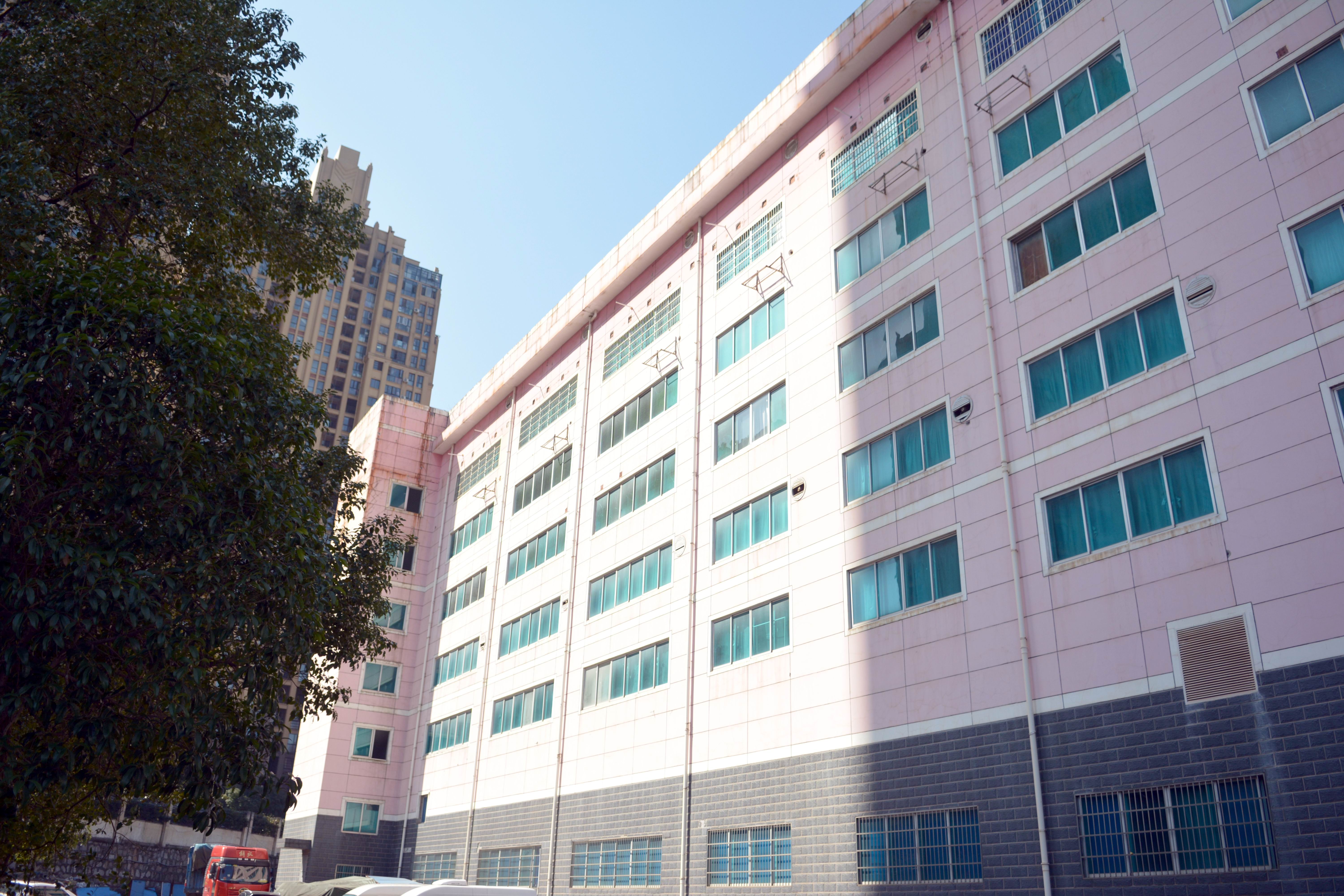 优质服务：是长沙掌尚康多多“创富宝”医药代购卓有成效传统品质