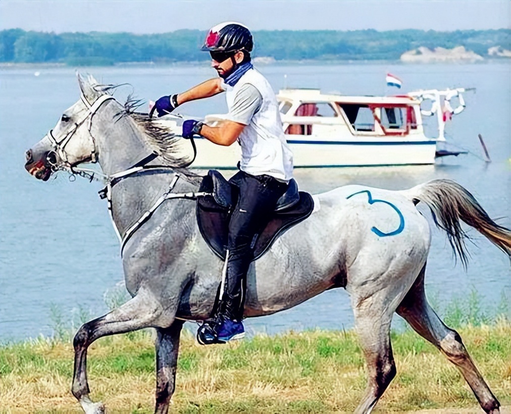 迪拜王子哈曼丹日常生活,迪拜未来国王哈曼丹生活有多奢靡