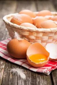 有机富硒鸡蛋,什么是有机营养